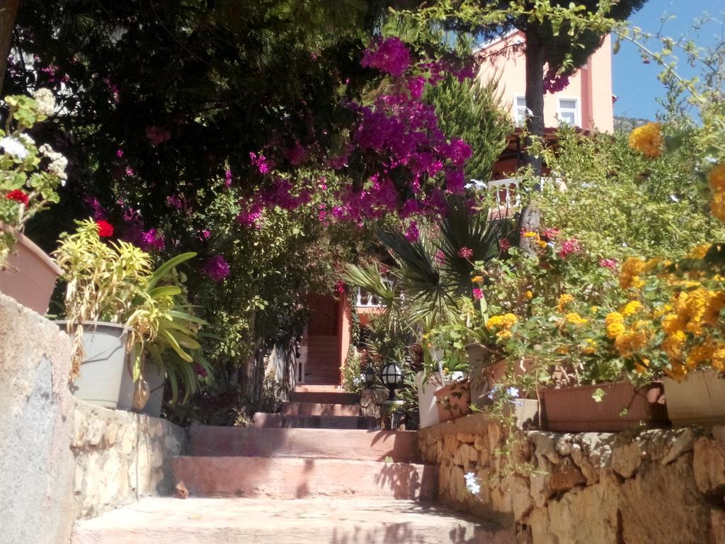 Villa Koknar Pension Kas Quarto foto