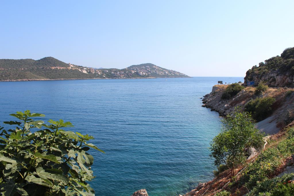 Villa Koknar Pension Kas Quarto foto
